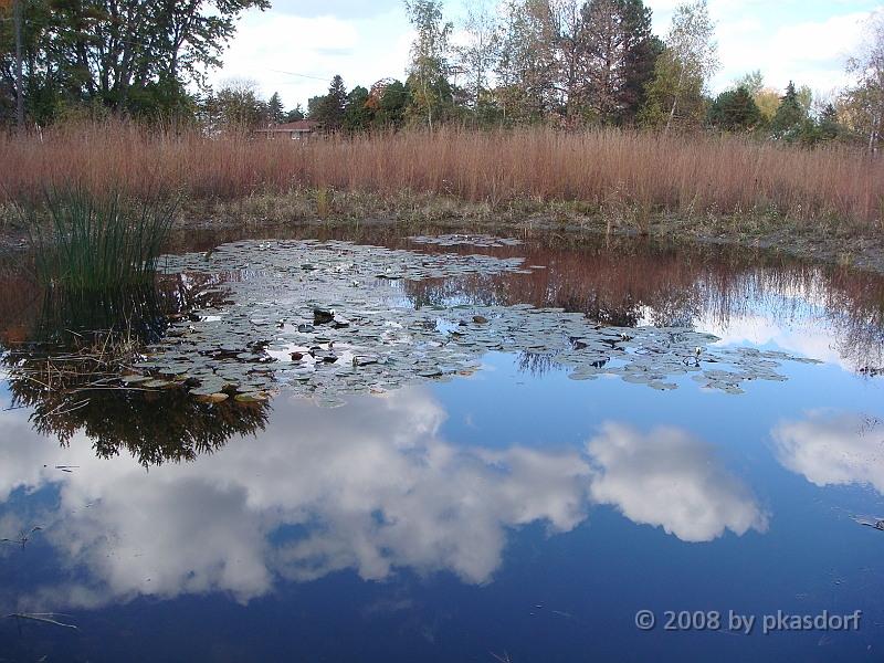 24 Shiawassee National Wildlife Refuge [2008 Nov 5].JPG - Scenes from Shiawassee National Wildlife Refuge in Michigan.